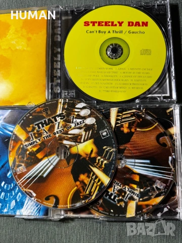 Chick Corea - Al Di Meola - Keith Jarrett - Steely Dan, снимка 17 - CD дискове - 53840395