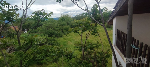 Почистване, косене, подкастряне, подръжка на терени, снимка 11 - Почистване на домове - 51525327