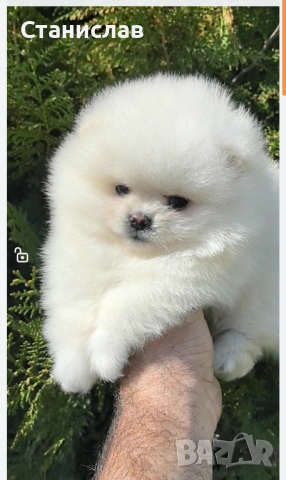 Две момчета 