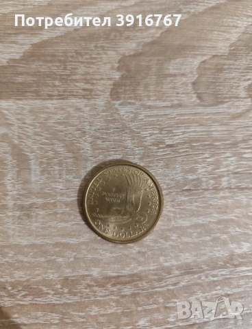 Монета от 1 щатски долар 