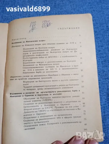 Георгиев/Шопов - Илинденското въстание , снимка 5 - Българска литература - 48371211