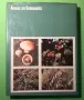 Стара Книга Атлас по Ботаника/Сл.Петров,Е.Паламарев, снимка 13