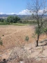 Зем.земя с-ло Струмяни  под Чешмата, снимка 6