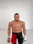 Екшън фигура WWE Samoa Joe Самоа Джо Black/Red Basic Mattel играчка, снимка 6