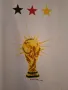 1974 FIFA Trophy World Cup West Germany 2010/като нова е/, снимка 2