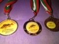  риболов с фидер Язовир Жеков Вир-Копринка-Жребчево медали, снимка 15