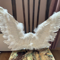 Ангелски крила, снимка 1 - Други - 45034725