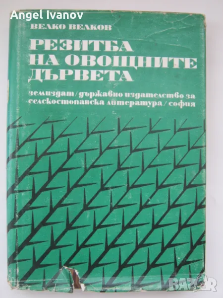 Резитба на овощните дървета, снимка 1