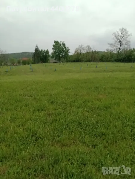 косене на тревни площи , снимка 1