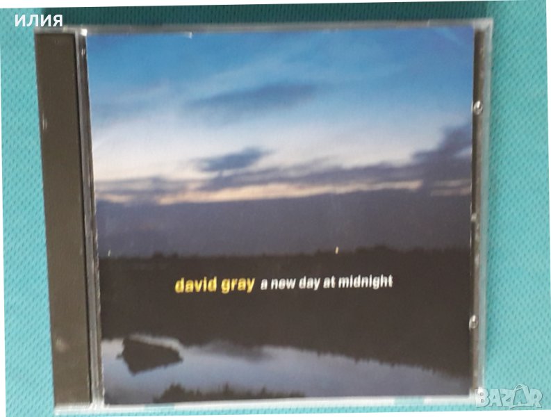 David Gray – 2002 - A New Day At Midnight(Alternative Rock), снимка 1