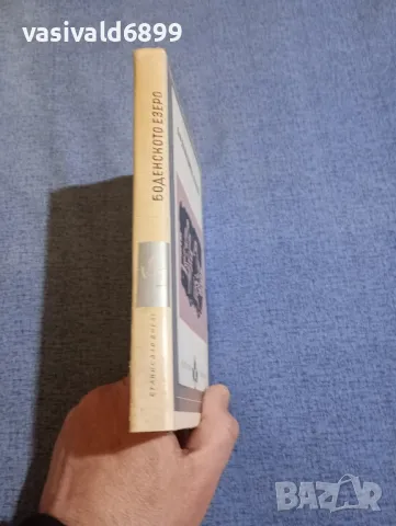 Станислав Дигат - Боденското езеро , снимка 2 - Художествена литература - 49428417