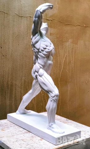 Екорше / Анатомична фигура / Гипсов модел, снимка 5 - Други - 51458325