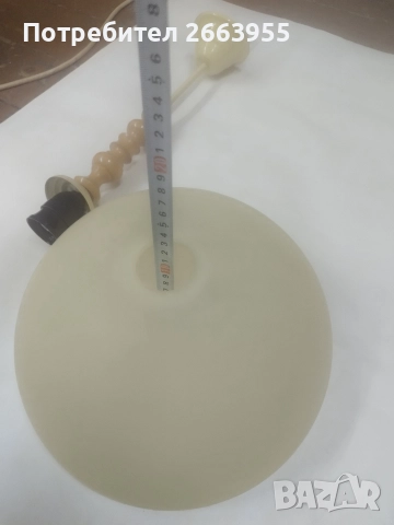 полилеи , снимка 6 - Полилеи - 52639372