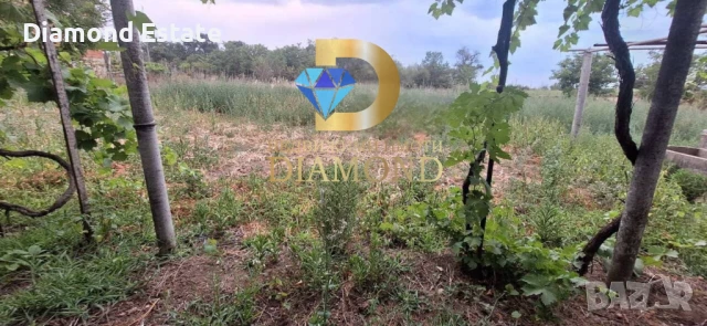 Едноетажна къща в село Криво поле, обл. Хасково, снимка 8 - Къщи - 50961391