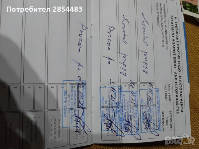 Йоркширски териер , снимка 5 - Йоркширски териер - 53738896