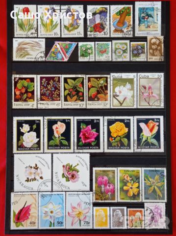 Пощенски марки тема ”Растения”., снимка 9 - Филателия - 46291070