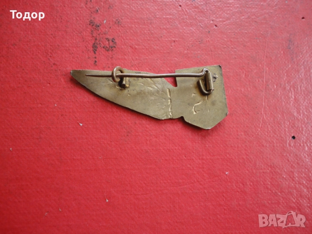 Армейски бронзов знак с емайл , снимка 4 - Колекции - 52615815