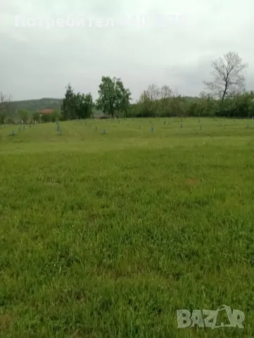 косене на тревни площи 