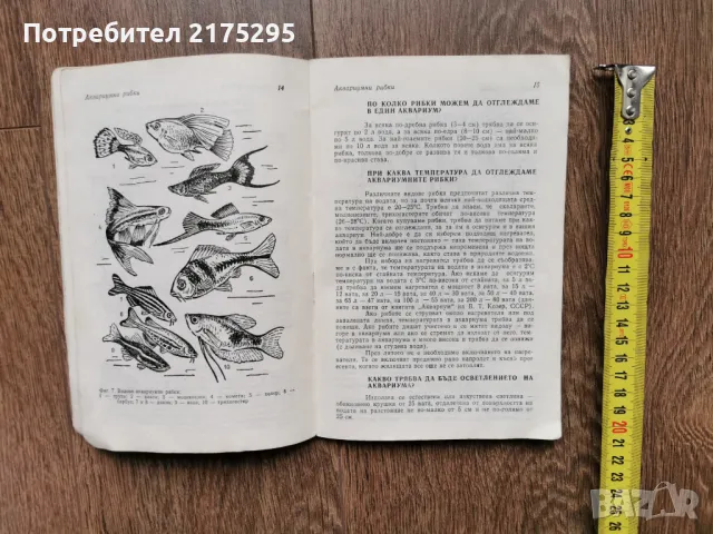 Аквариумни рибки-Г.Кондов-1991г., снимка 7 - Рибки - 49698717