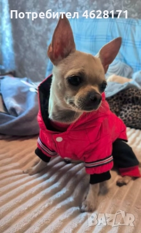 Кучешки дрешки топли якенца нови, снимка 9 - За кучета - 52153706