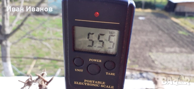 Бодлива тел , снимка 7 - Огради и мрежи - 54228681