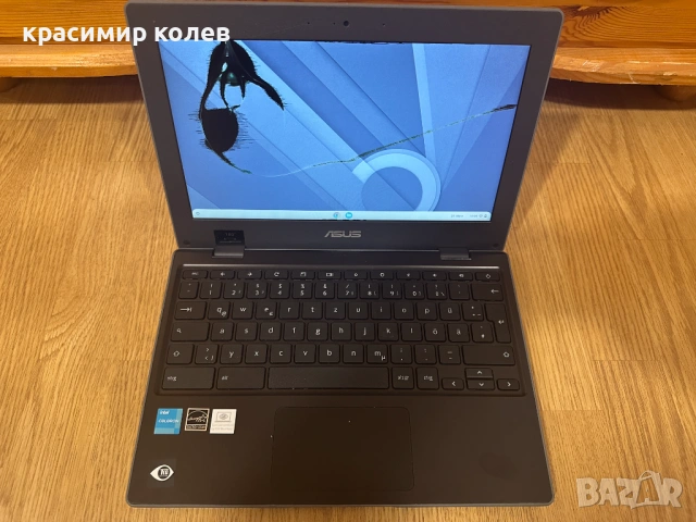лаптоп "ASUS Chromebook CR1100CK "