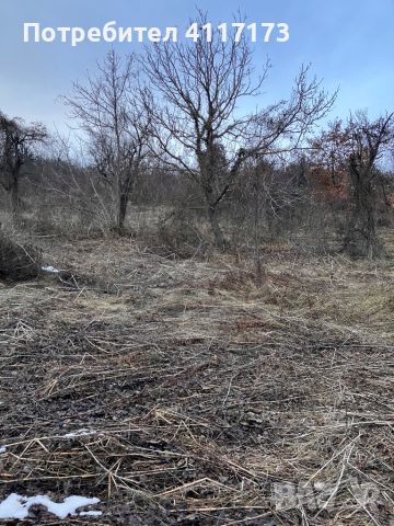 Урегулиран поземлен имот в село Славейково, Дряново , област Габрово , снимка 8 - Парцели - 46020552