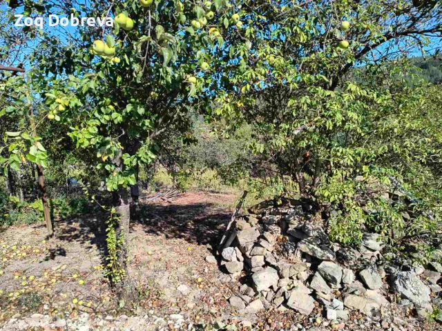 Парцел с ПУП в с.Присово, снимка 5 - Парцели - 51709715