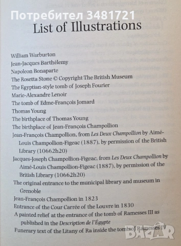 Ключът към Египет - състезанието за разчитане на йероглифите / The Keys of Egypt, снимка 3 - Художествена литература - 54244790