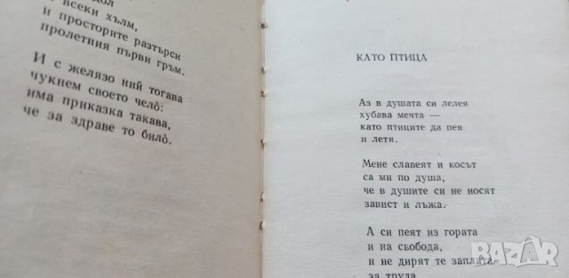 Оттука почва обичта - Христо Радевски, снимка 5 - Детски книжки - 46780199