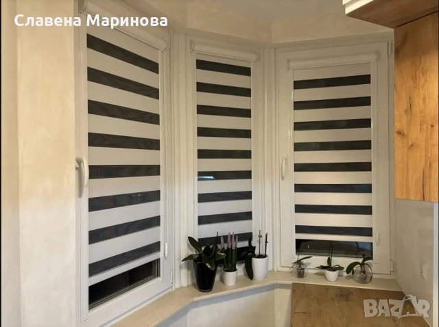 Щори, снимка 6 - Щори - 52554406