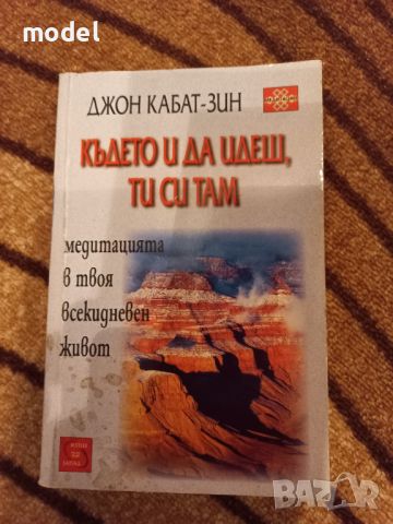 Където и да идеш, ти си там - Джон Кабат-Зин, снимка 1 - Други - 46557577