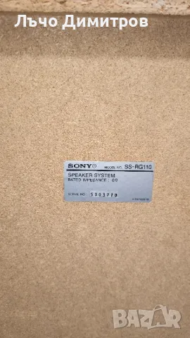 SONY SS-RG110, снимка 4 - Тонколони - 47109542