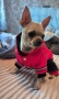 Кучешки дрешки топли якенца нови, снимка 9
