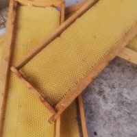 Пчеларски инвентар , снимка 6 - Градински инструменти - 45142303