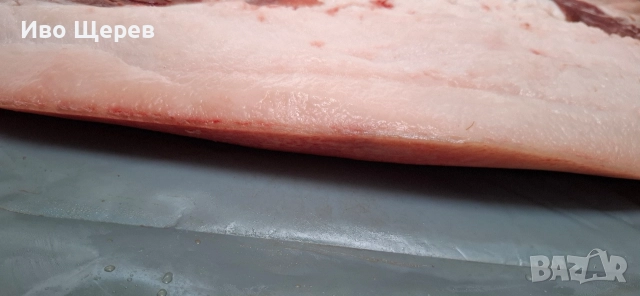 Прясна сланина с кожа , снимка 2 - Прасета - 52872002