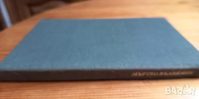 Мъртво вълнение - Ивайло Петров, снимка 3 - Българска литература - 51057068