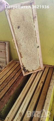 пчелен мед , снимка 2 - За пчели - 46391442