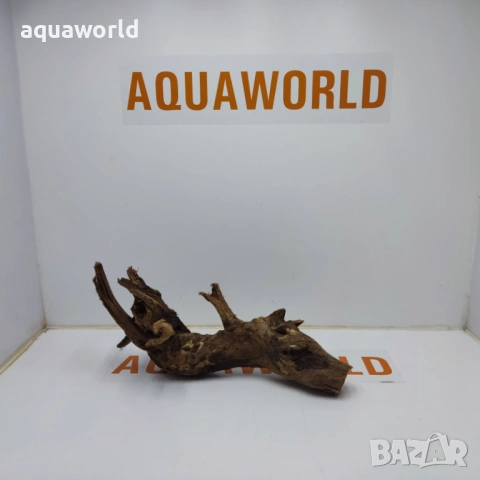 Мангров корен 6