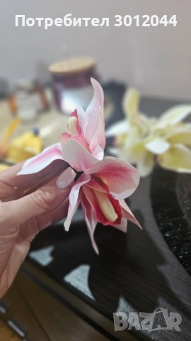 Шнола, снимка 2 - Аксесоари за коса - 53919129