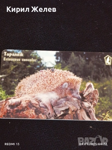 Три фонокарти МОБИКА тема ЖИВОТНИ ТАРАЛЕЖ,КЪДРОГЛАВ ПЕЛИКАН 17067, снимка 3 - Колекции - 51649185