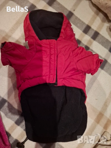 Зимно яке за куче, снимка 3 - Чихуахуа - 54078213