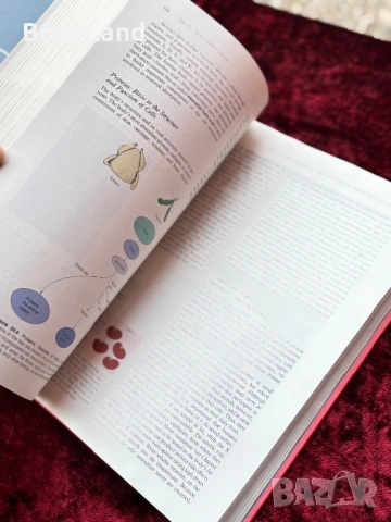 The nature of life, снимка 5 - Художествена литература - 53948126