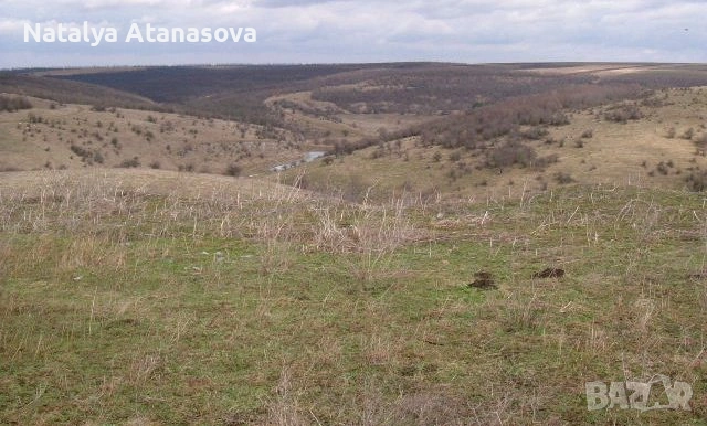 Къща за продажба в Сърнец, област Добрич, снимка 14 - Къщи - 53656508