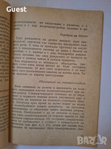 Ти ставаш мъж, Йозеф Хиние, снимка 3 - Специализирана литература - 45983756