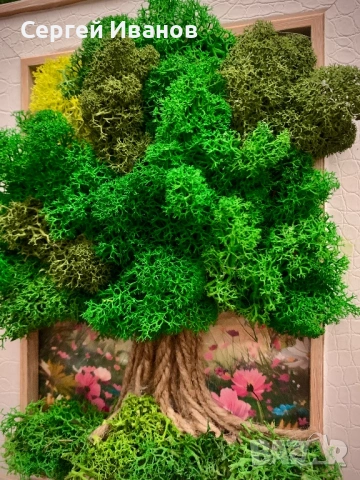 Картина с жив мъх 21х26 – ръчна изработка, уникален подарък, снимка 4 - Картини - 54216289