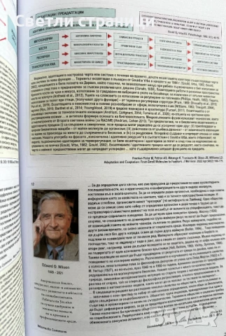 Поведение и социални роли. Книга 2: Личност и облик на човешкото поведение, снимка 5 - Специализирана литература - 50915981