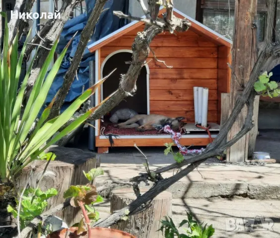 кучешка къща,къща за куче,колиба за куче,кучешка колиба, снимка 6 - За кучета - 50185593