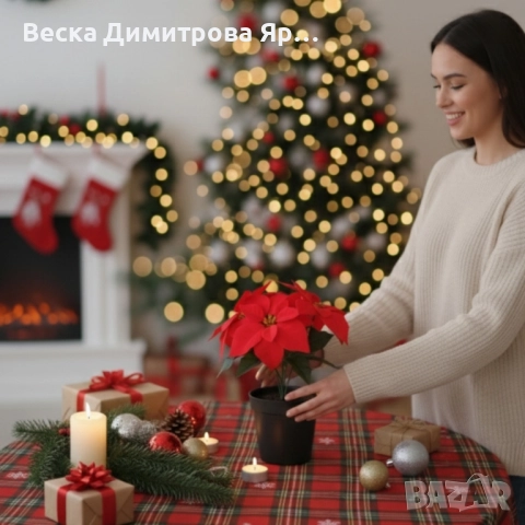 Вечна празнична Коледна звезда – реалистична украса, снимка 5 - Декорация за дома - 52587322