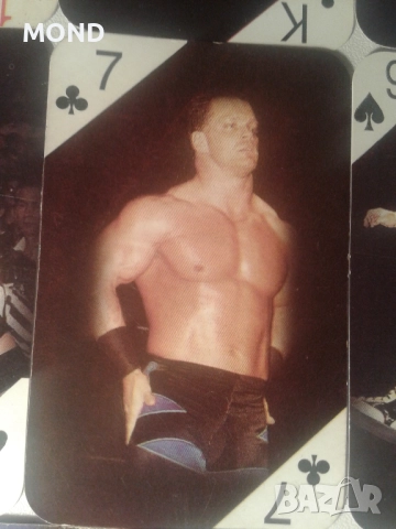 Стари карти с кечисти - WWE, снимка 12 - Колекции - 52866818